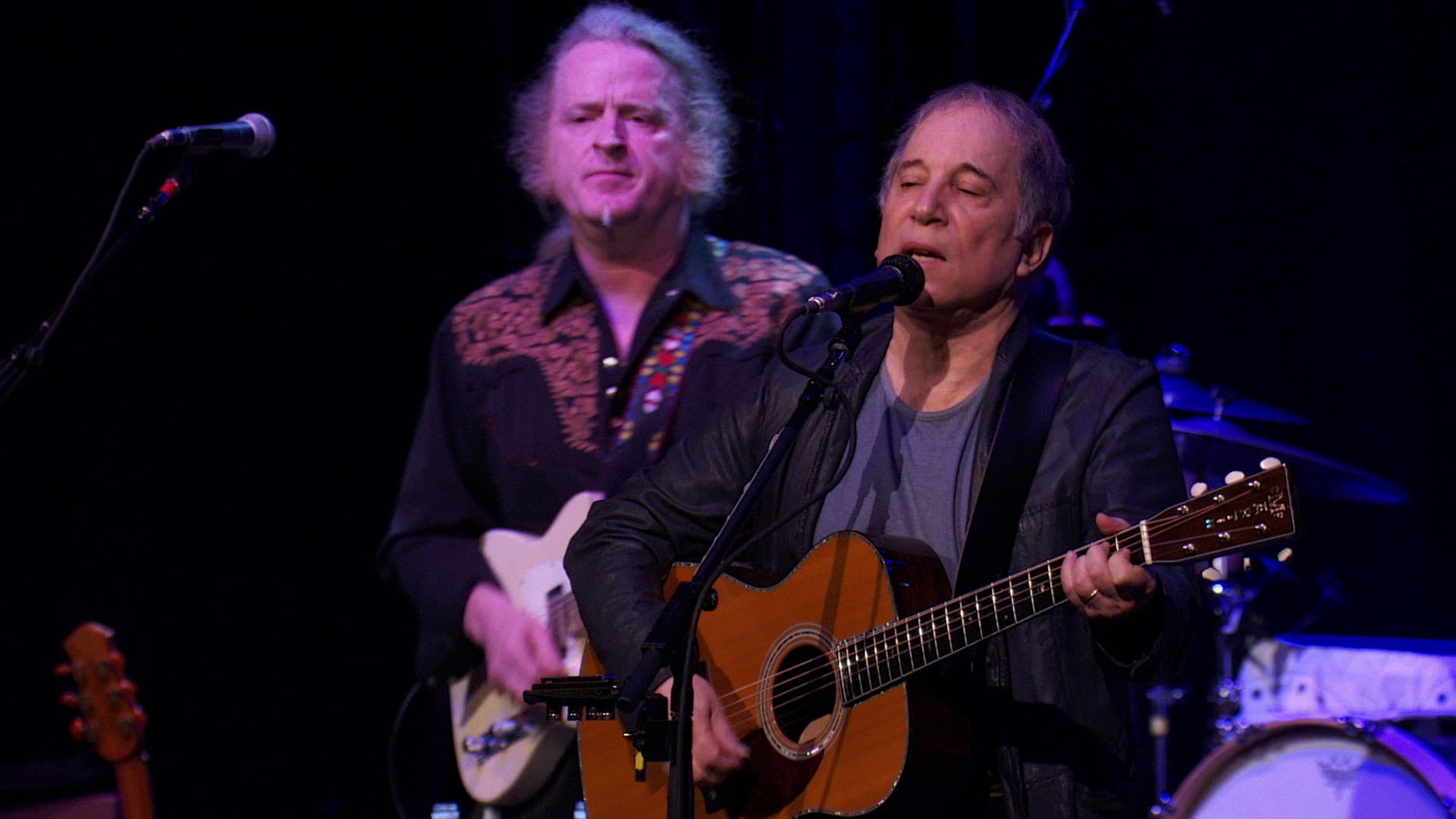 Paul Simon - Live in New York City backdrop