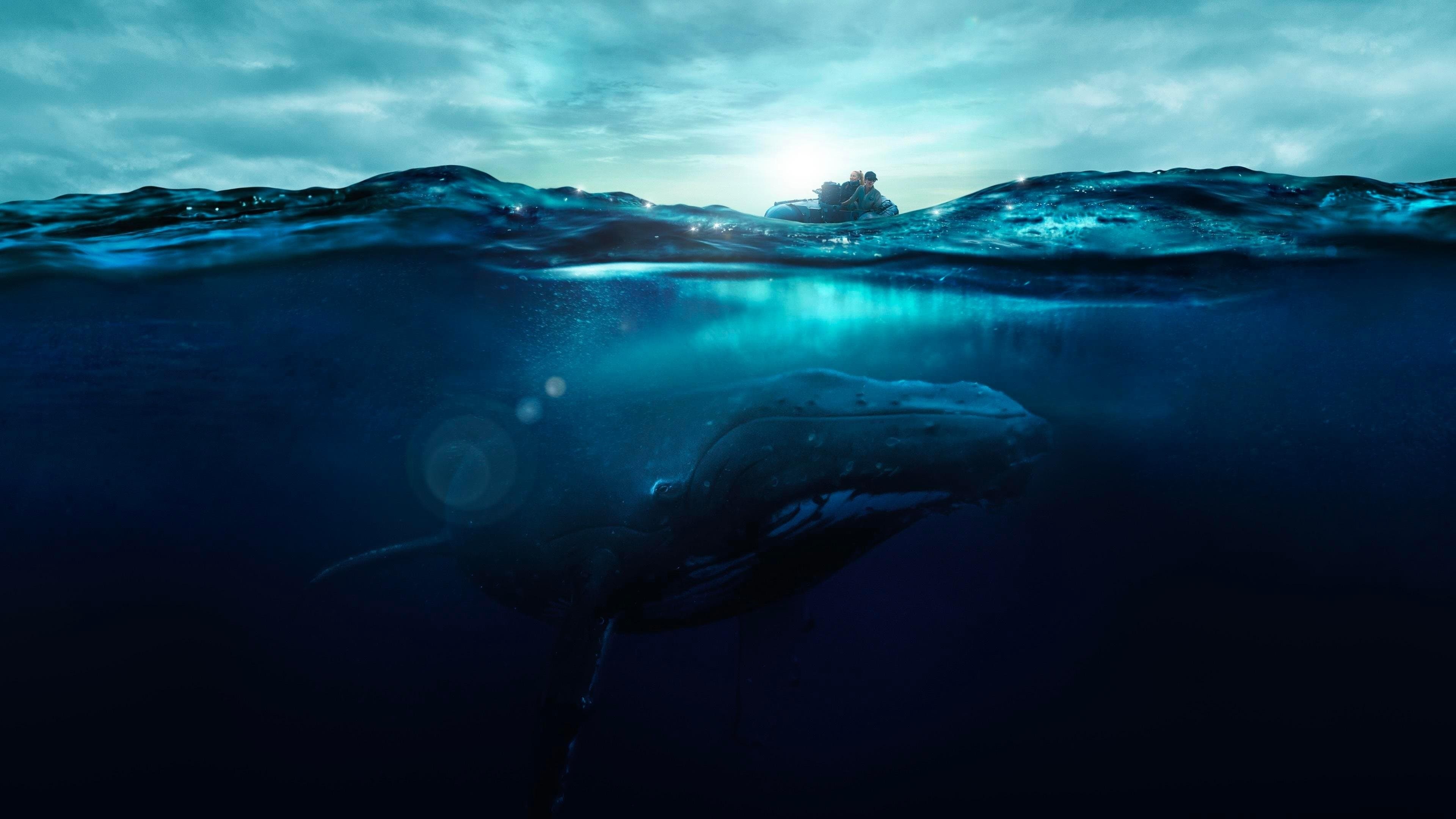 Fathom backdrop