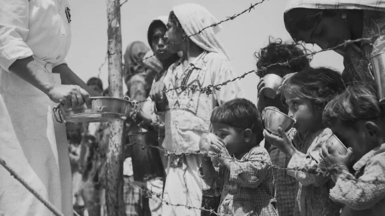 Tangled Roots backdrop