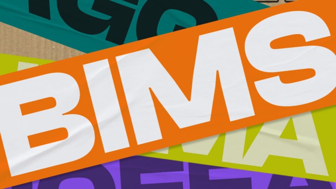 BIMS backdrop