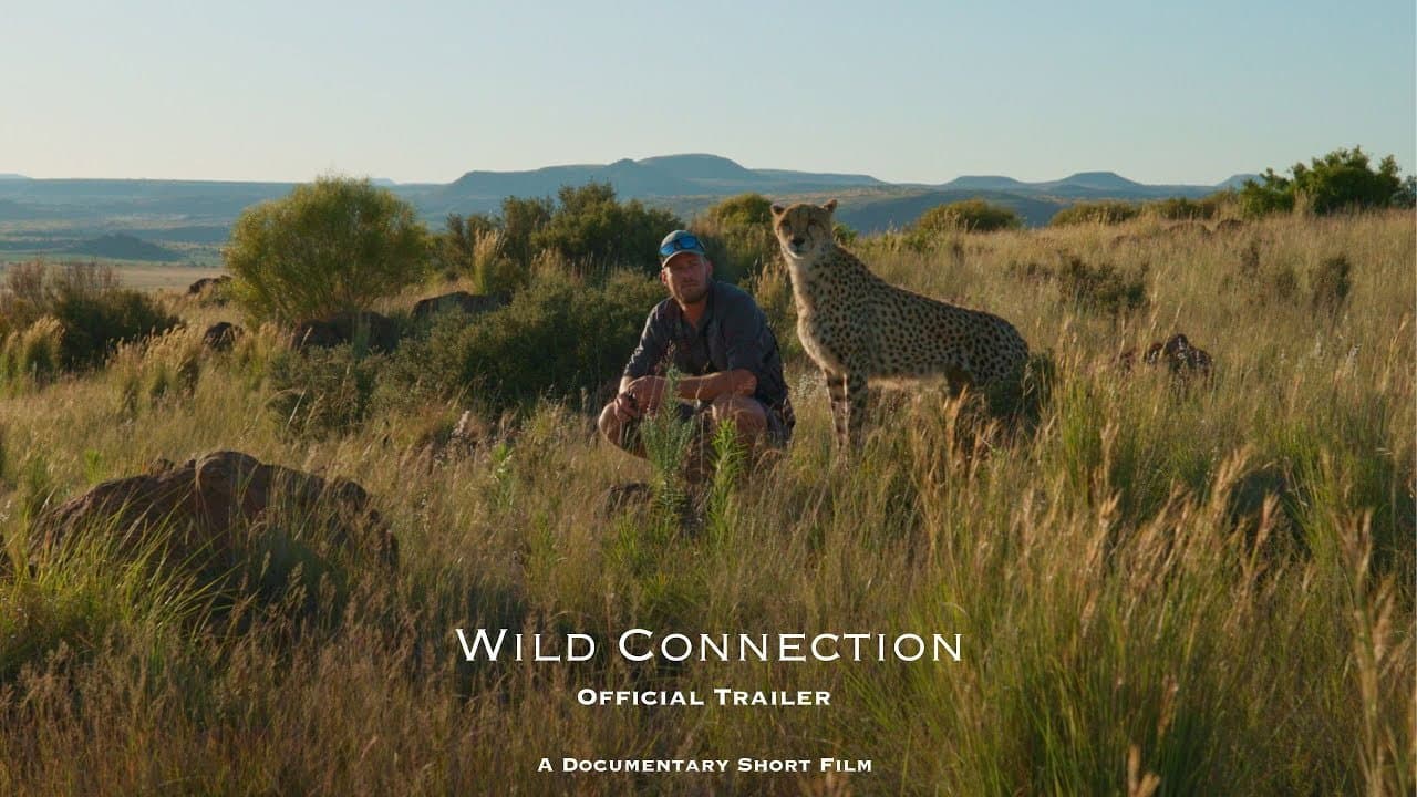 Wild Connection backdrop