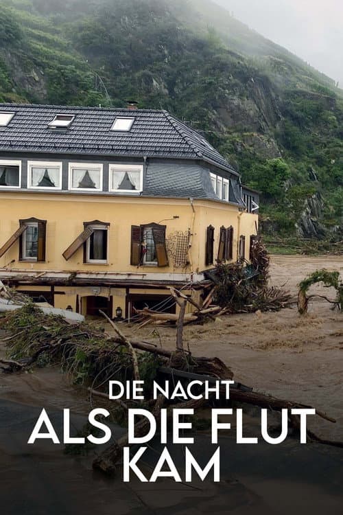Die Nacht, als die Flut kam - Protokoll einer Klimakatastrophe
