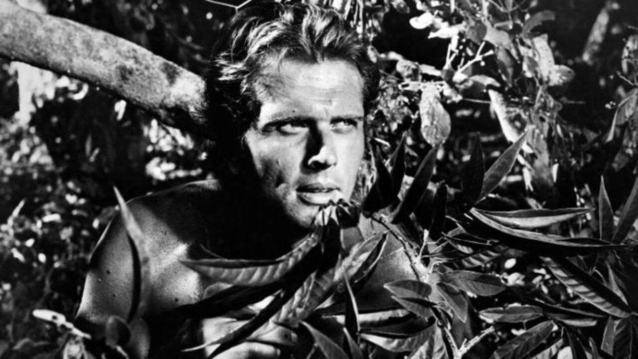 Tarzan backdrop