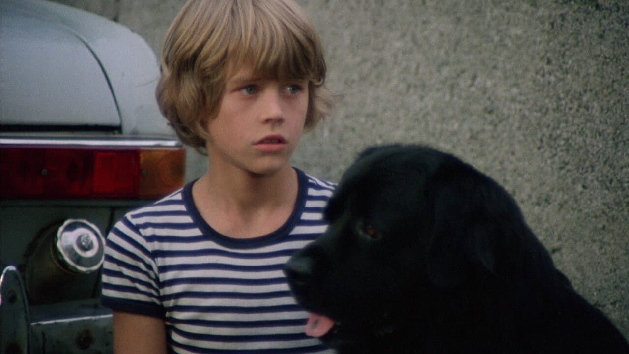 Hang on, Doggy backdrop
