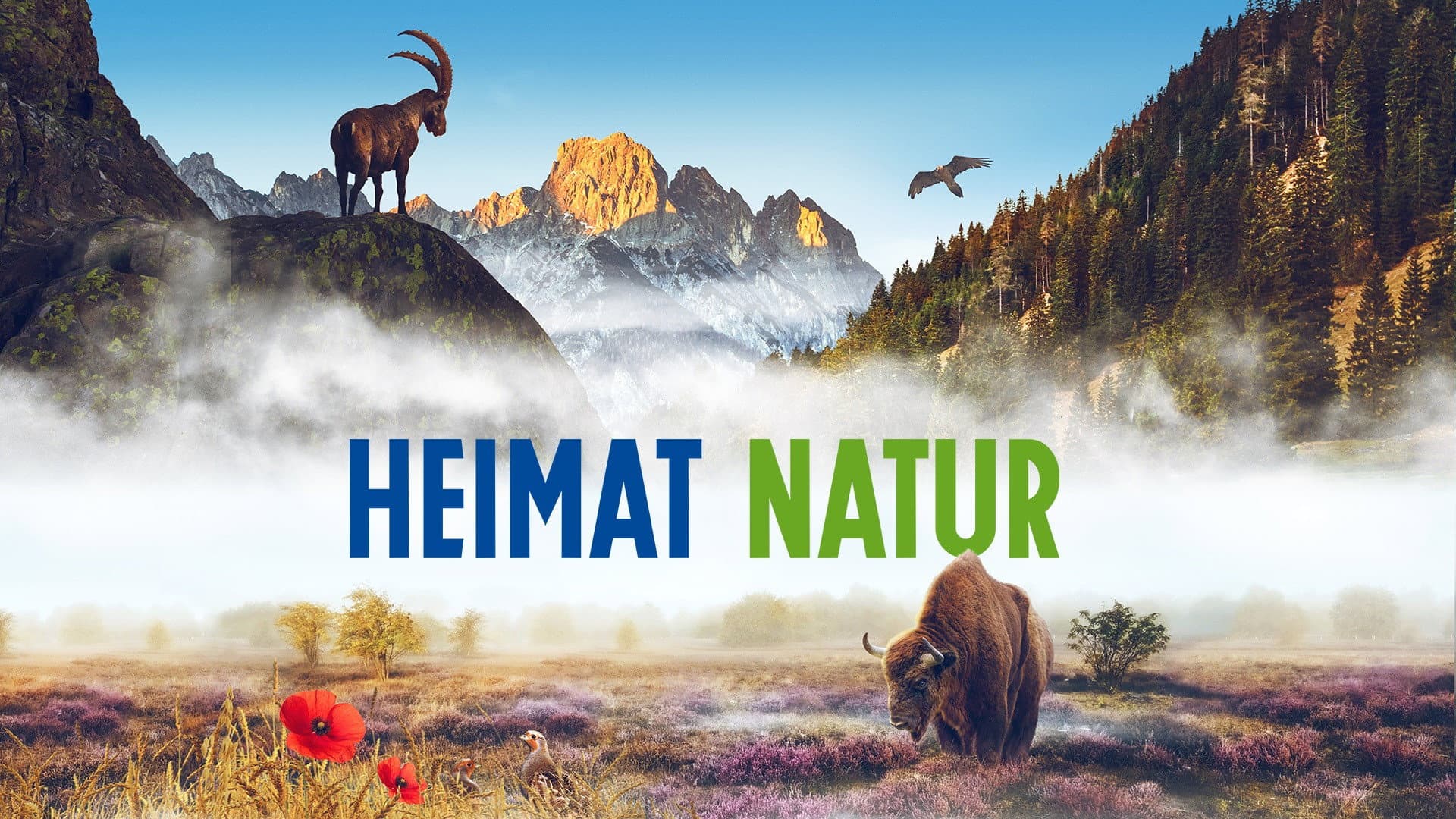 Homeland Nature backdrop