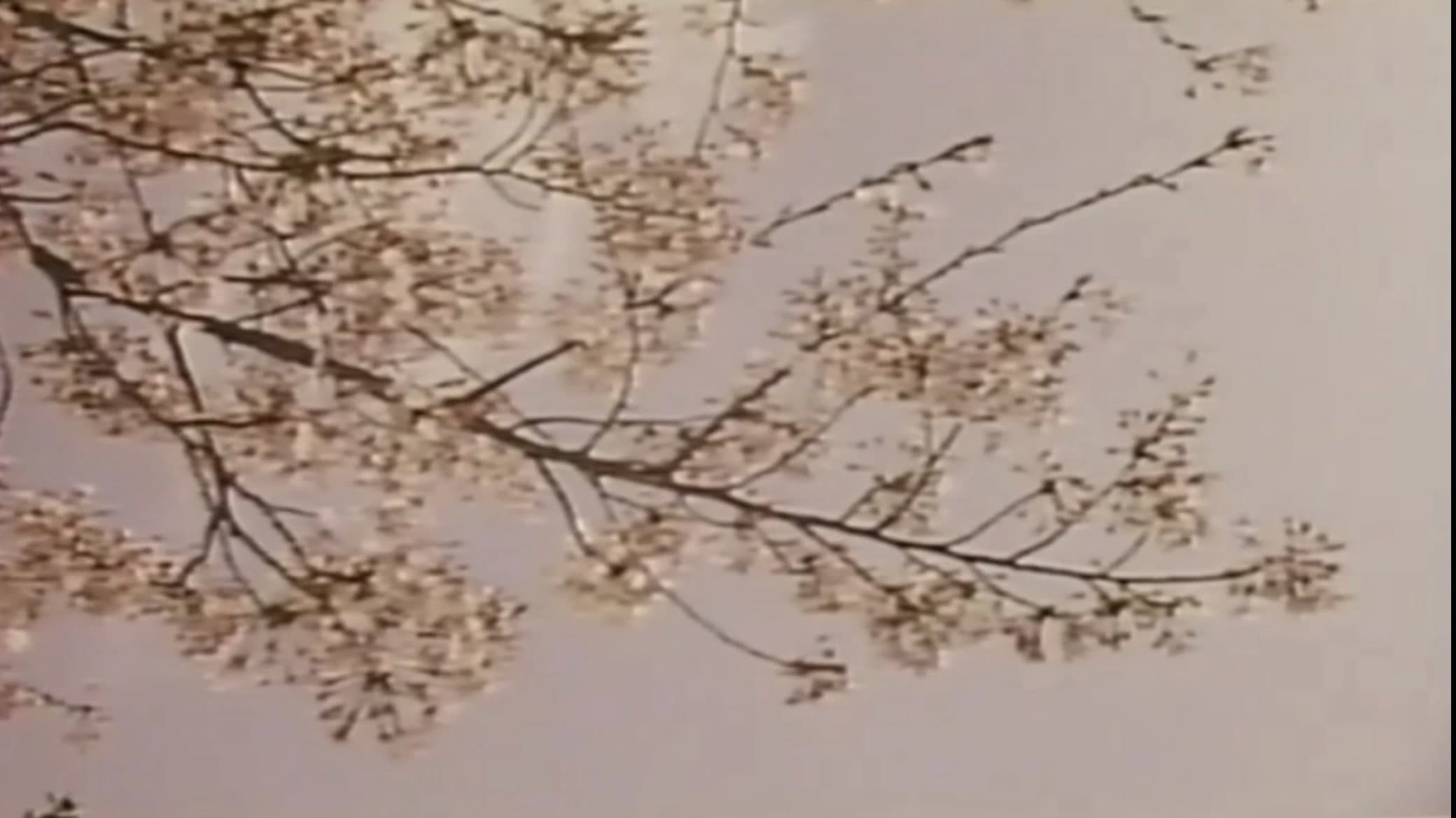 Wakaoku-sama: Futomono-biraki backdrop