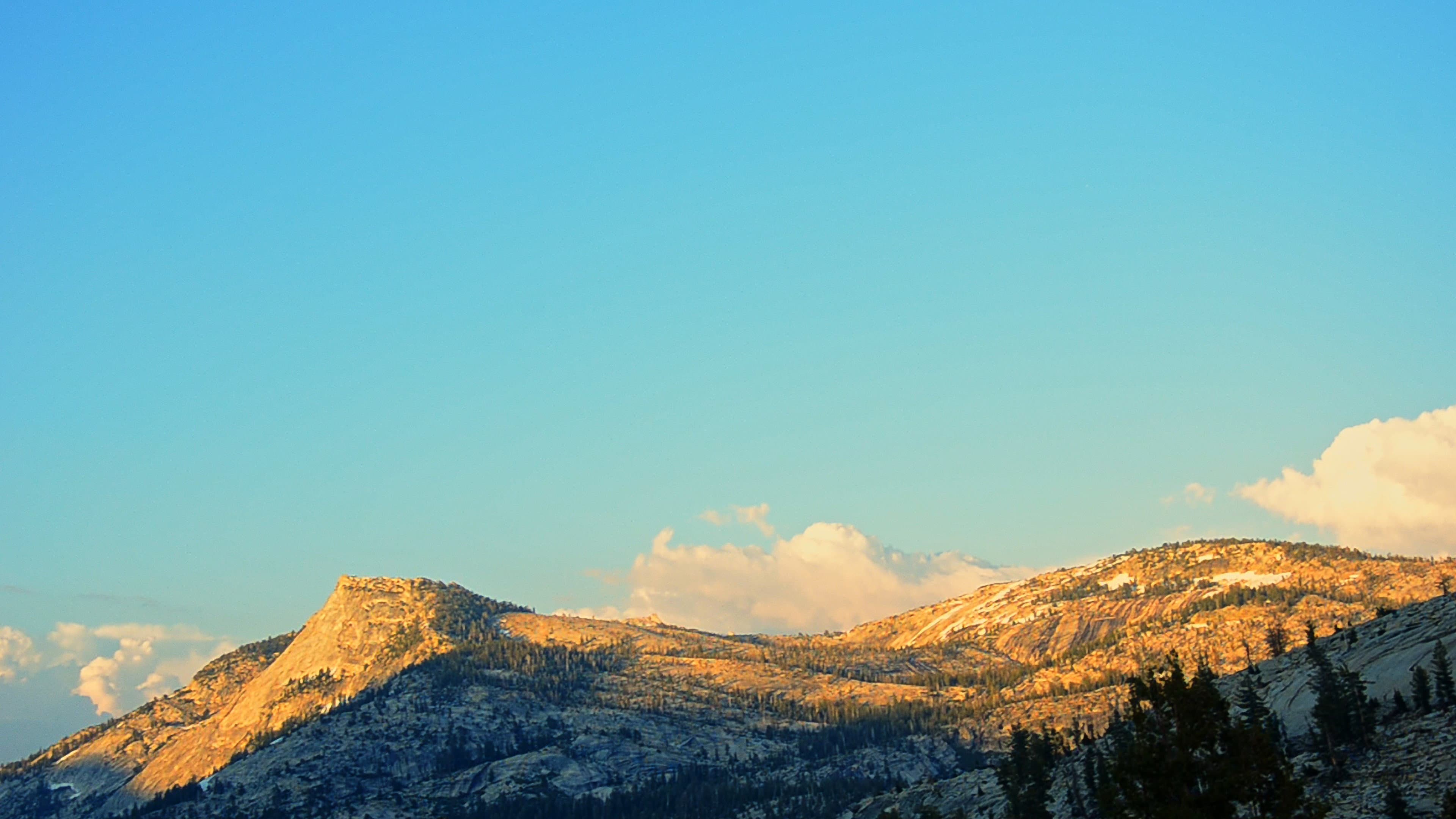A Breath Of Summer backdrop